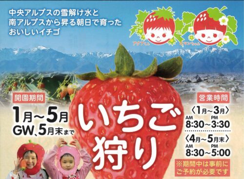 アクアロマン中川園いちご狩り